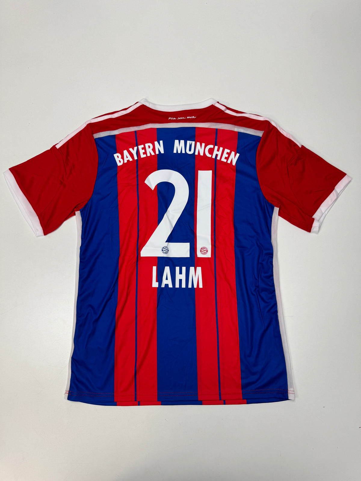 FC Bayern München 2013\15