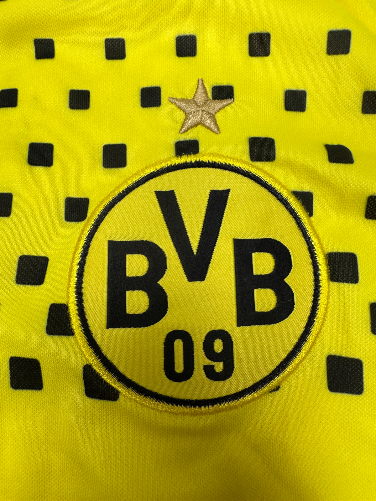 BVB Borussia 2011\12