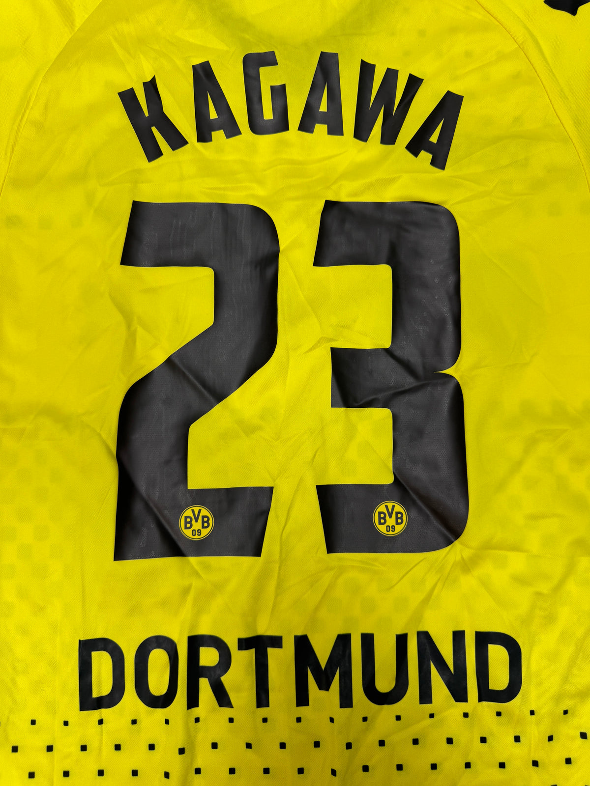 BVB Borussia 2011\12