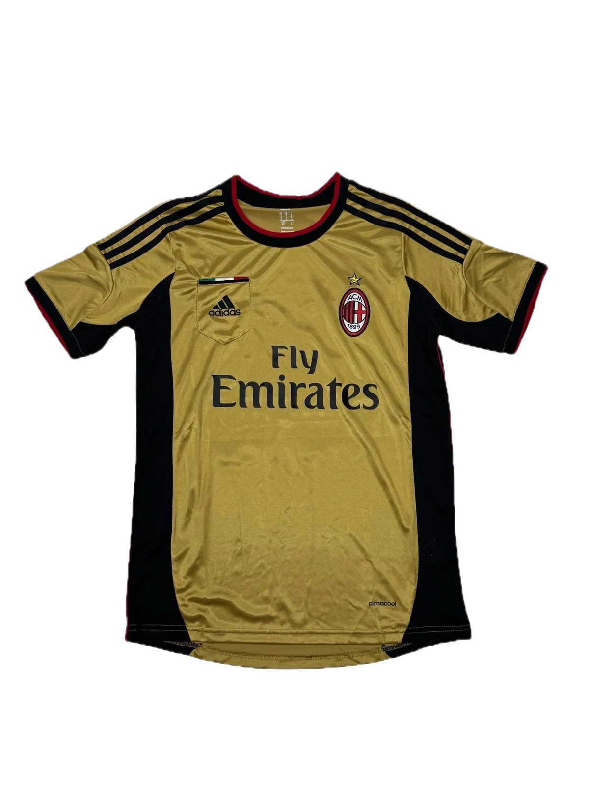 AC Milan 2013/14